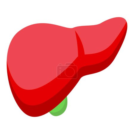 Colorful and vibrant cartoon liver illustration depicting the anatomical and physiological function of the hepatobiliary system in the human body, isolated in a bright and clean vector graphic
