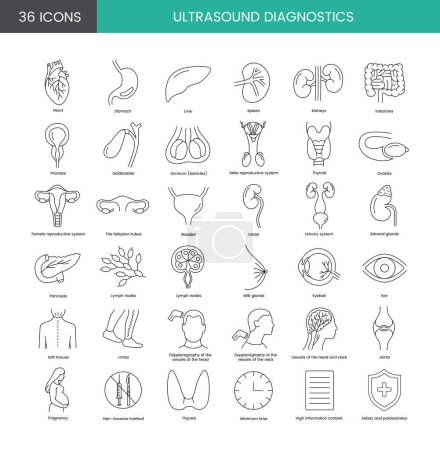 Ilustración de El diagnóstico por ultrasonido es un conjunto de iconos de línea en vectores, órganos abdominales, sistema urinario, ginecología, estructuras superficiales. Corazón y estómago, bazo y glándulas suprarrenales - Imagen libre de derechos