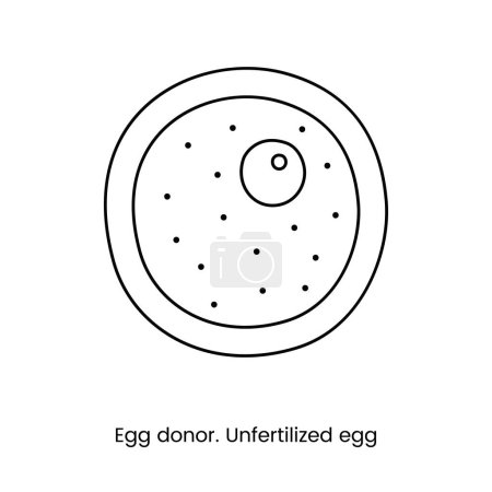 Illustration for Unfertilized female egg line icon in vector, medical illustration - Royalty Free Image