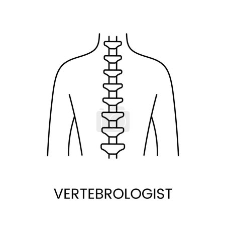 Illustration for Vertebrologist line icon in vector, illustration of medical profession - Royalty Free Image