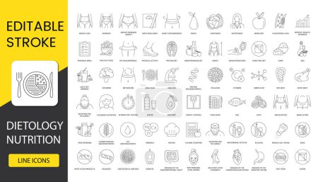 Dietology and nutriciology set of line icons in vector, types of diets and products, macronutrients and vitamins, nutrition of children and the elderly, exclusion of junk food. Editable stroke.