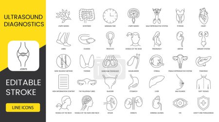 Illustration for Ultrasound diagnostics line icons set in vector, kidneys and eye, ureter and pharynx, female reproductive system and adrenal glands, intestines and thyroid, larynx and lymph nodes. Editable stroke - Royalty Free Image