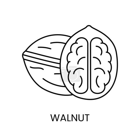 Téléchargez les illustrations : Élevez vos designs avec l'icône vectorielle Walnut Line, une représentation visuellement attrayante de l'emblématique. - en licence libre de droit