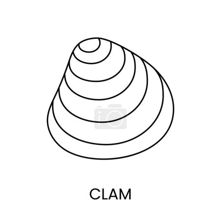 Illustration for Clam line icon in vector, seafood illustration - Royalty Free Image