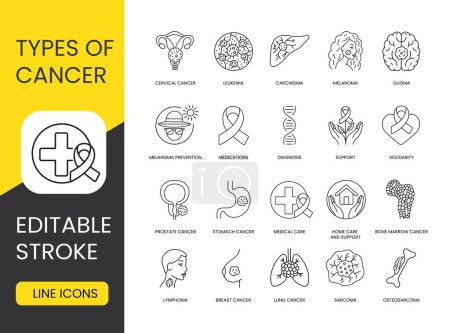 Illustration for Types of cancer set vector line icons with editable stroke. Osteosarcoma and Lung Cancer, Lymphoma and Sarcoma, Breast Cancer and Glioma, Carcinoma in situ and Cervical Cancer, Melanoma and Leukemia. - Royalty Free Image
