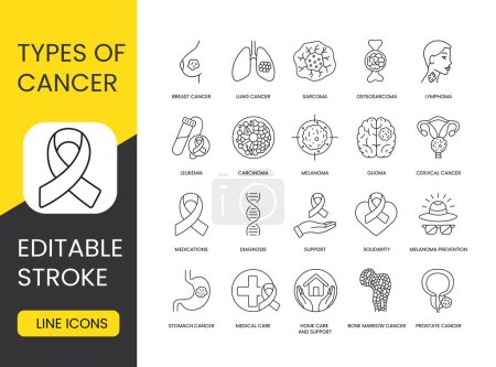 Illustration for Types of cancer set vector line icons with editable stroke. Osteosarcoma and Lung Cancer, Lymphoma and Sarcoma, Breast Cancer and Glioma, Carcinoma in situ and Cervical Cancer, Melanoma and Leukemia. - Royalty Free Image