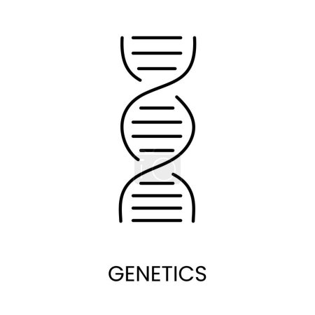 Dna-Helix symbolisiert das Genetik-Liniensymbol im Vektor mit editierbarem Strich.