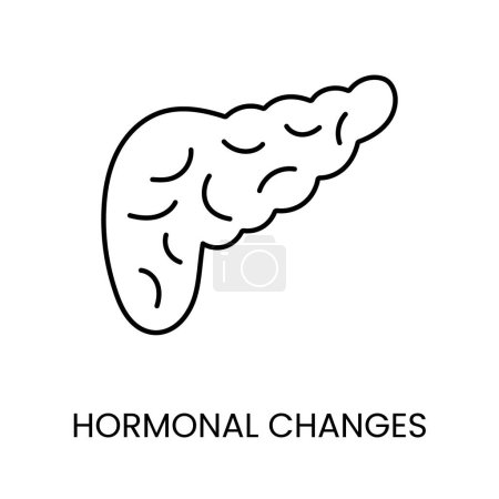 Cambios hormonales icono de línea en el vector con carrera editable