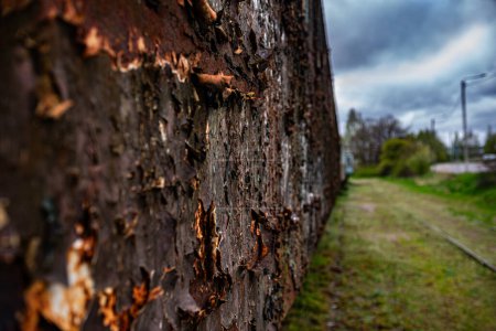 Téléchargez les photos : Arrière-plan avec vieux chemin de fer rouillé abandonné sur le champ vert - très faible profondeur de champ - en image libre de droit