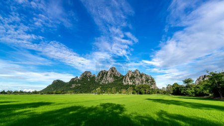 Téléchargez les photos : Belle montagne sur fond de ciel bleu, rizières Premier plan, province de Nakhon Sawan, Nord de Thaïlande paysage - en image libre de droit