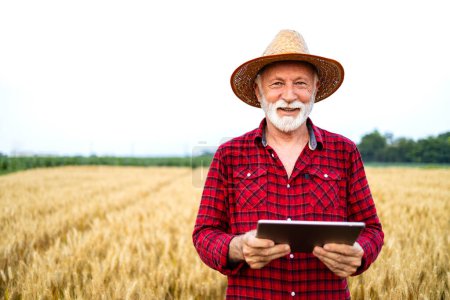 Photo for Man standing in the field and using smart farming application on digital tablet managing crops production and growth. - Royalty Free Image