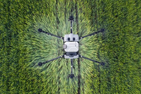Draufsicht der landwirtschaftlichen Drohne, die Herbizidreservoir transportiert und Getreidefelder besprüht.