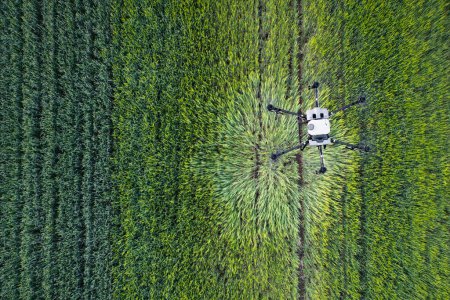 Agrar-Drohne fliegt über Feld und versprüht Pflanzen mit Herbizid.