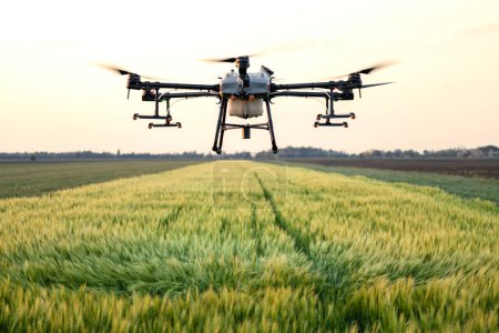 Landwirtschaftliche Drohne kartiert das Feld und versprüht Pflanzen mit Herbizid.