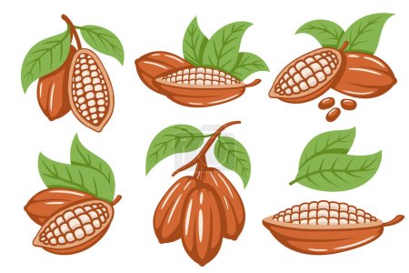 Ilustración de Conjunto de granos de cacao aislados sobre fondo blanco. Plantilla Logo. Cuerpo de cacao. elementos. Ilustración vectorial - Imagen libre de derechos
