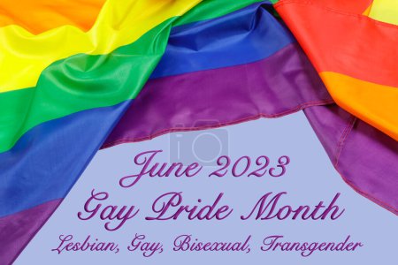 Téléchargez les photos : The Gay Pride Flag used for Illustrations with white background and copy space - en image libre de droit