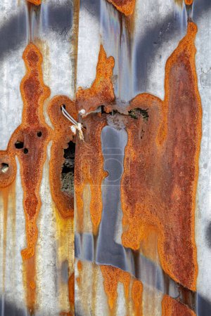 Téléchargez les photos : Gros plan d'un vieux mur de métal ondulé rouillé - en image libre de droit
