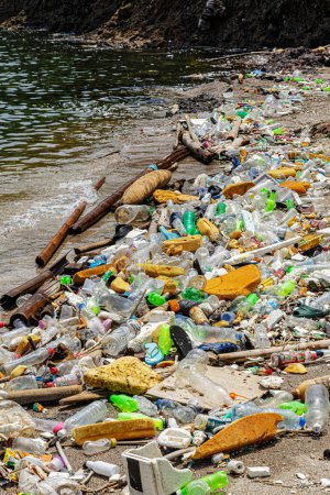 Foto de Manila Bay, Filipinas, 5 de junio de 2023 Botellas de plástico de basura en las playas de Manila Bay en Filipinas - Imagen libre de derechos