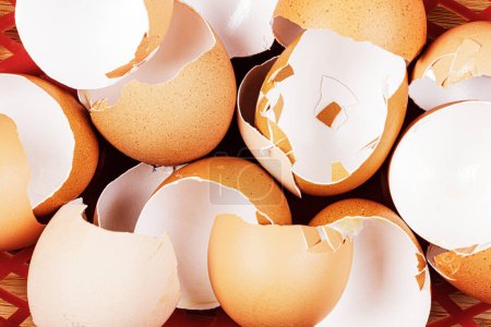 Foto de Primer plano de puesta plana de cáscaras de huevo marrones orgánicos rotos con espacio de copia - Imagen libre de derechos
