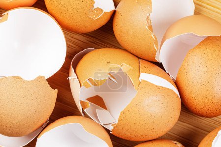Photo for Close up of broken Organic Brown Eggshells with copy space - Royalty Free Image