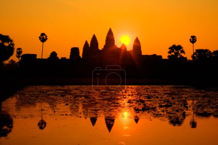 Friedlicher Sonnenreis an den antiken Ruinen von Angkor Wat in Kambodscha Asien