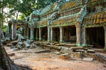Téléchargez les photos : Ficus Strangulosa arbre poussant sur une porte dans les ruines antiques de Ta Prohm sur le site Angkor Wat au Cambodge - en image libre de droit
