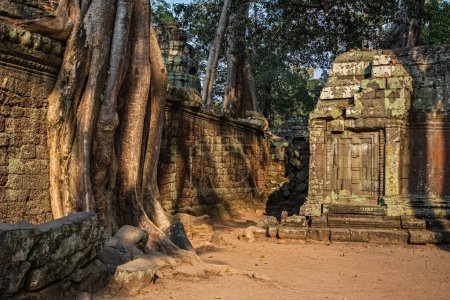 Foto de Ficus Strangulosa árbol creciendo sobre una puerta en las antiguas ruinas de Ta Prohm en el sitio de Angkor Wat en Camboya, sudeste de Asia - Imagen libre de derechos