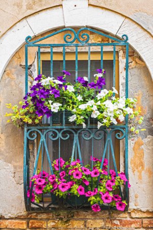 Foto de Flores decoran una ventana con la arquitectura típica venusiana en Venecia Italia, Europa, - Imagen libre de derechos
