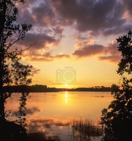 Téléchargez les photos : Coucher de soleil à l'étang Paurodus dans le parc national des Everglades, Floride, États-Unis, Amérique du Nord - en image libre de droit