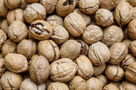Photo for A close up of a bushel of delicious Shelled Walnuts with copy space - Royalty Free Image