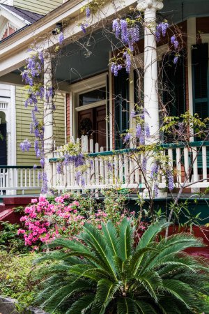 Téléchargez les photos : Printemps Azalées fleurissent sur de nombreuses maisons qui bordent le quartier historique de Savannah Géorgie, États-Unis, Amérique du Nord - en image libre de droit