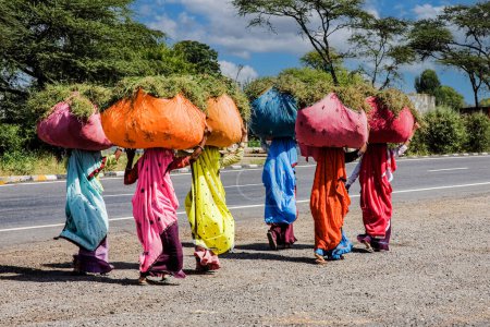 Photo for Women dressed in saris carrying heavy loads of grasses on their heads on road to Jodhpur in Rajasthan India, South Asia - Royalty Free Image