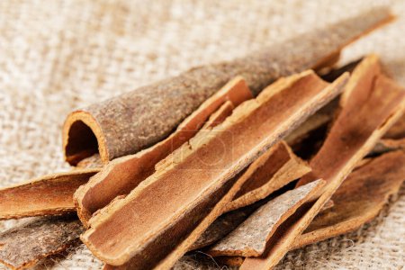 Photo for Close up of healthy Cinnamon Bark isolated on a burlap background with copy space - Royalty Free Image