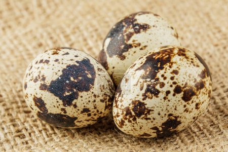 Photo for A close up of delicious Quail Eggs isolated on wooden background with copy space - Royalty Free Image