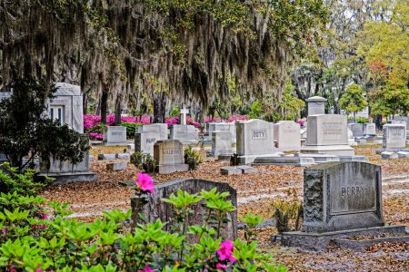 Foto de Los hermosos terrenos del cementerio de Bonaventure en Savannah Georgia, Estados Unidos, América del Norte con espacio para copias - Imagen libre de derechos