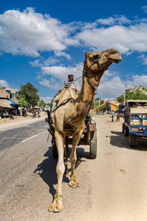 Téléchargez les photos : Homme local avec chameau et chariot au Rajasthan Inde, Asie du Sud - en image libre de droit