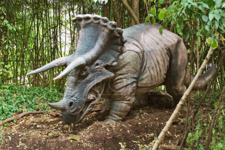Foto de Dinosaurio Triceratops de finales del Cretácico. Encontrado en los Estados Unidos, Norteamérica - Imagen libre de derechos
