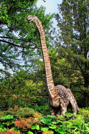 Foto de Omeisaurus vivió en el período Jurásico tardío hasta el período Cretácico temprano, encontrado en China - Imagen libre de derechos