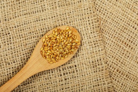 Foto de De arriba abajo de semillas de lino tostado un suplemento saludable y delicioso a cualquier comida con con fondo de arpillera yespacio de copia - Imagen libre de derechos