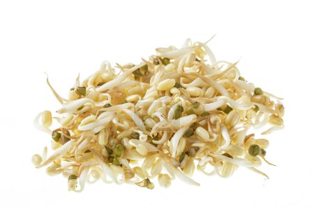 Photo for Close up of healthy Bean Sprouts isolated on a white backgrond with copy space - Royalty Free Image