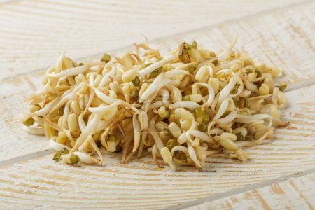 Photo for Close up of healthy Bean Sprouts isolated on a white wooden backgrond with copy space - Royalty Free Image