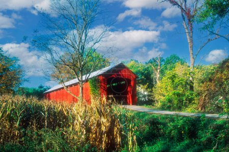Foto de Un puente cubierto de madera en el lado del condado de América rural, Estados Unidos, América del Norte - Imagen libre de derechos