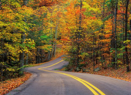 Foto de Camino de otoño a través de Pine Mountain State Park, Kentucky, Estados Unidos, América del Norte con espacio para copias - Imagen libre de derechos