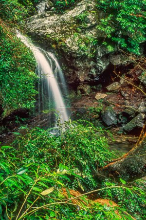 Téléchargez les photos : Beautiful Grotto Falls in the Great Smoky Mountains National Park, Tennessee, États-Unis, Amérique du Nord avec espace de copie - en image libre de droit