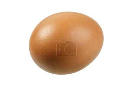 Foto de Primer plano de Delicicus Brown Egg aislado sobre un fondo blanco con espacio para copiar - Imagen libre de derechos