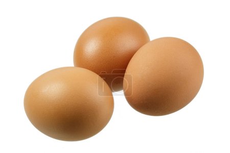 Foto de Primer plano de delicicus Brown Huevos aislados sobre un fondo blanco con espacio para copiar - Imagen libre de derechos
