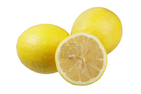 Téléchargez les photos : Gros plan de délicats citrons isolés sur un fond blanc avec espace de copie - en image libre de droit