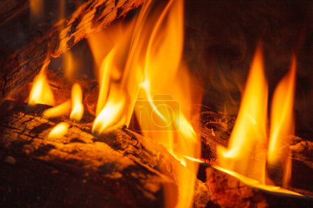 Téléchargez les photos : Grumes brûlant dans un feu de camp en plein air à un camping avec espace de copie - en image libre de droit