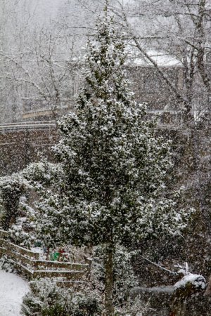 ein Schnee bedeckten Baum