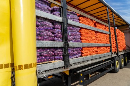 Globaler Lebensmittelhandel und Transport. Verladewagen mit palettierten Zwiebeltaschen, die in Netze gewickelt sind, um sie an den Markt zu verteilen. Logistik in der Lebensmittelverteilung. Güterverkehr. 